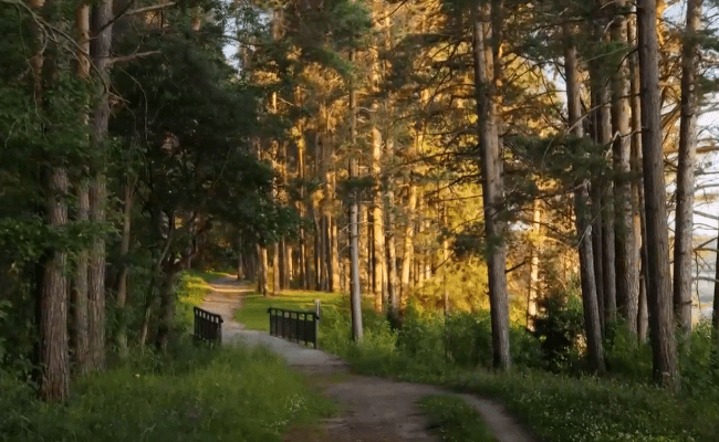 Природные особенности Тверской области