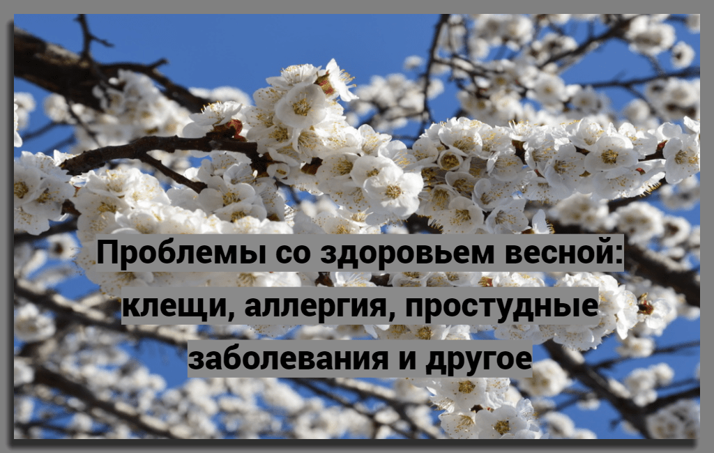 Проблемы со здоровьем весной: клещи, аллергия, простудные заболевания и другое