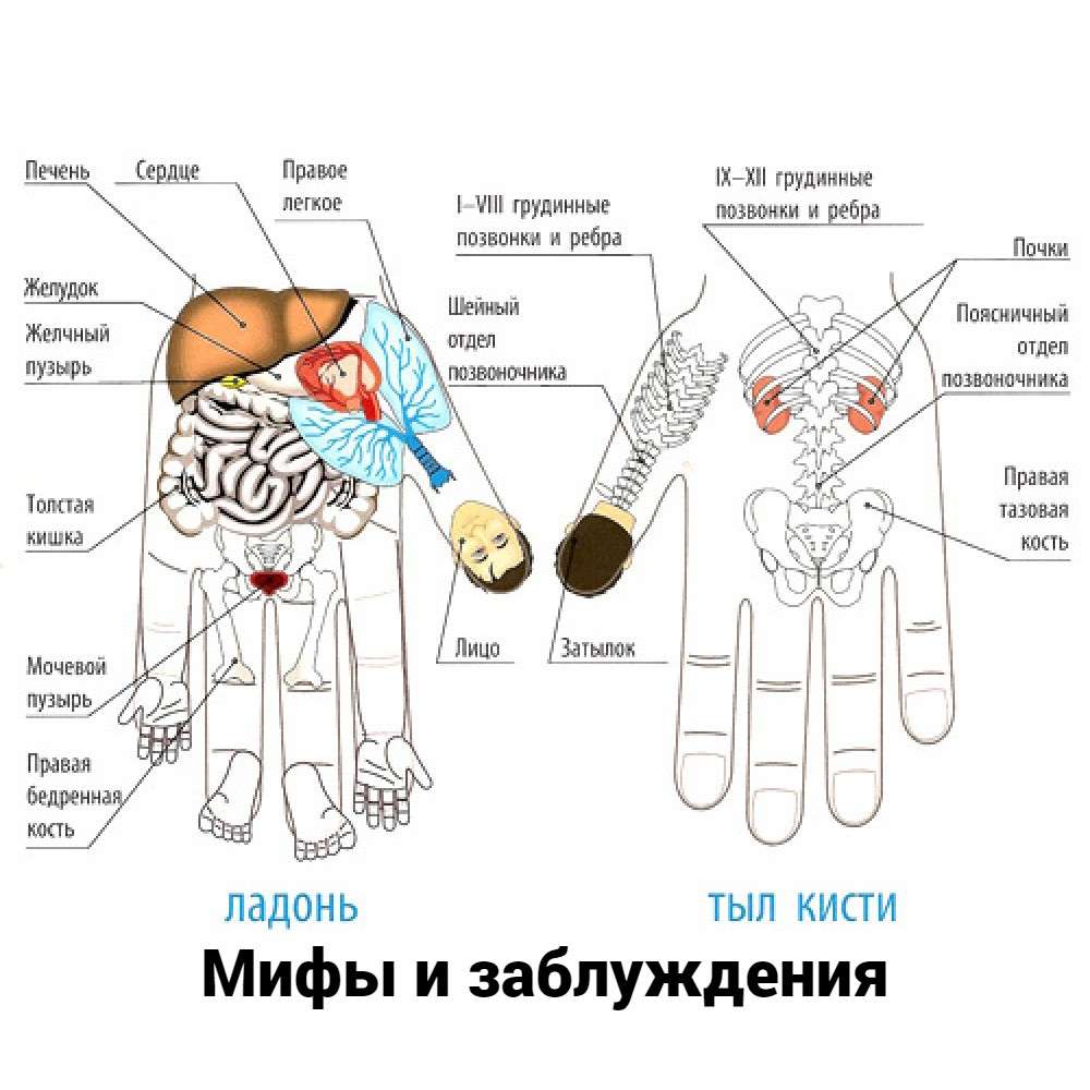 Мифы и заблуждения